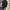 LANVIN Luxury Minimalist Backpack Wanita black photo 5