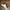 Vans Streetwear Skater Sneakers Pria white cream photo 1