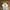 Vans Streetwear Skater Sneakers Pria white cream photo 4