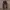Uniqlo Vintage Casual Casual pants Pria brown photo 1