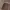 Uniqlo Vintage Casual Casual Pants Pria Brown