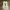 Vans Cosplay Futurist Sneakers Pria white red photo 5