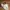 Vans Cosplay Futurist Sneakers Pria white red photo 2