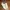 Vans Luxury Indie Sneakers Pria white photo 2