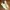 Vans Luxury Indie Sneakers Pria white photo 1
