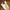 Vans Luxury Indie Sneakers Pria White