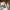 Vans Luxury Indie Sneakers Pria white photo 6