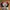 Nike Indie Cosplay Sneakers Pria white red photo 4