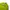 Adidas Sportswear Sweatshirt Pria green photo 2