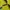 Adidas Sportswear Sweatshirt Pria green photo 3