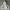 Vintage Streetwear Hoody Pria gray photo 5