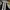 Dickies Streetwear Sportswear T-shirt Pria multicolor photo 2