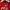 Dickies Streetwear Hoody Pria red photo 4