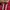 Dickies Streetwear Hoody Pria red photo 2