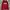 Dickies Streetwear Hoody Pria Red