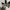 Adidas Casual Sweater Pria white photo 4