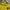 Stussy Casual Hoody Pria yellow photo 2