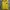 Stussy Casual Hoody Pria yellow photo 1