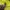 Stussy Casual Hoody Pria yellow photo 5