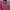 MLB Casual Hoody Pria pink photo 2
