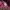 MLB Casual Hoody Pria pink photo 3