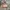 Balenciaga Vintage Y2K Shoulder bag Wanita pink photo 2