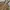 Vintage Hoody Pria tan photo 4