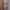 Fairy Coquette Nightgown Wanita Blue Gray