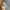 Fairy Coquette Nightgown Wanita blue gray photo 4
