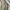 Vintage Casual Bomber jacket Pria tan brown photo 4