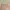 Fairy Coquette Nightgown Wanita pink photo 3