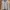 Nike Streetwear Track jacket Pria gray photo 1