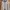 Nike Streetwear Track Jacket Pria Gray