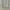 Japanese brand Luxury Minimalist Cardigan Wanita white photo 4