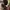 Vintage Streetwear Kids brown photo 2