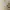 Japanese brand Vintage Luxury Sweater Wanita white photo 1