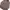 Pendleton Sportswear Denim jacket Pria brown photo 3