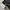 Adidas Streetwear Casual Jumper Pria white black photo 2