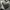 Rick Owens Grunge Emo Pria white black photo 4