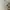 Japanese brand Vintage Luxury Sweater Wanita white photo 1