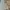 Polo Ralph Lauren Casual Polo shirt Pria multicolor gray photo 4