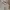 Polo Ralph Lauren Casual Polo shirt Pria multicolor gray photo 2