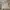 Polo Ralph Lauren Casual Polo Shirt Pria Multicolor Gray