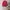 Japanese brand Vintage Luxury Sweater Wanita red photo 1