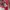 Japanese brand Vintage Luxury Sweater Wanita red photo 4