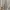 Japanese brand Vintage Luxury Cardigan Wanita tan photo 3