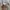Japanese brand Vintage Luxury Cardigan Wanita tan photo 5