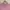 Japanese brand Luxury Minimalist Blouse Wanita pink photo 2