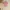 Japanese brand Luxury Minimalist Blouse Wanita pink photo 1