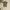 Japanese brand Vintage Luxury Cardigan Wanita tan brown photo 1